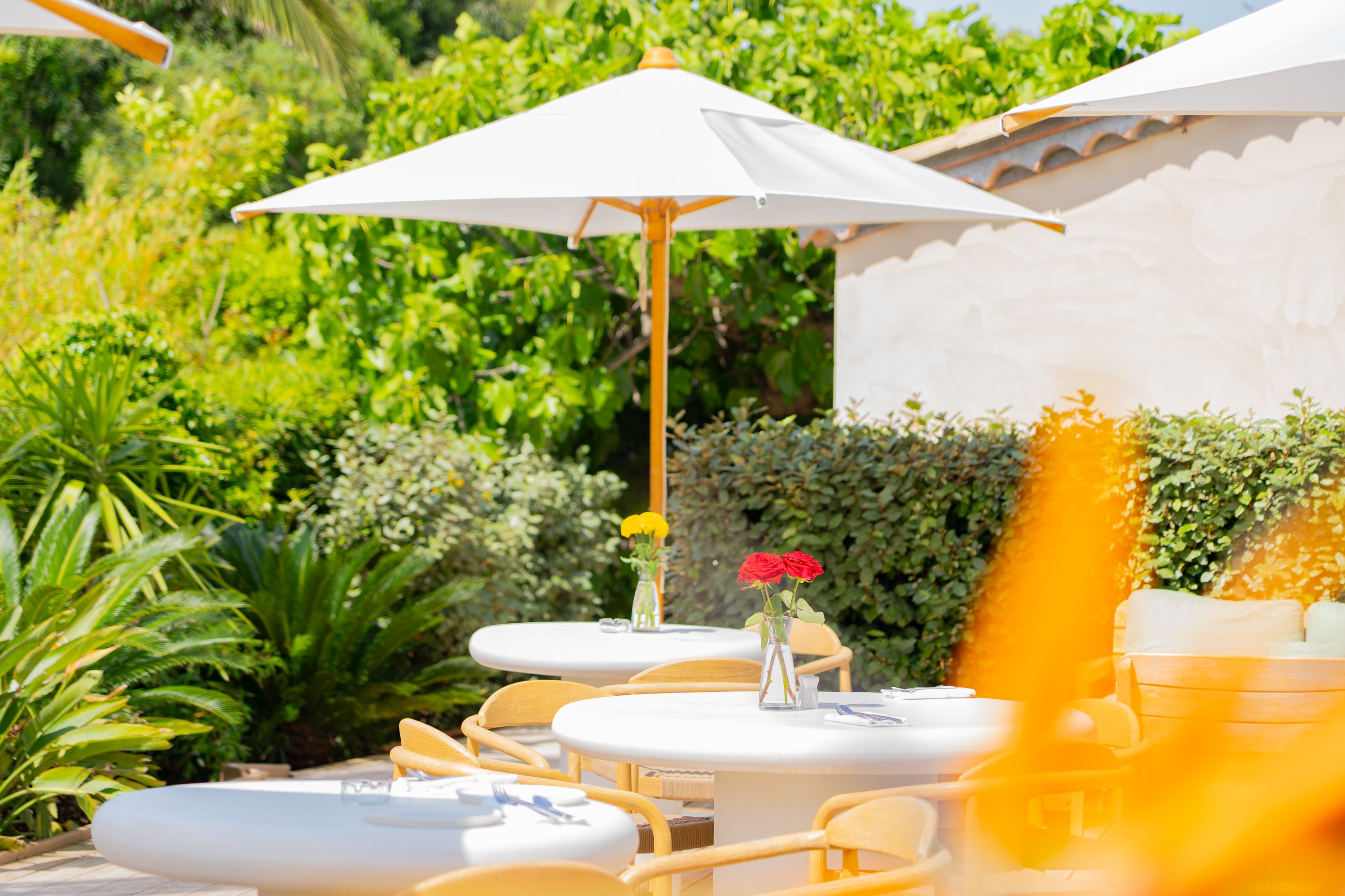 Petit-déjeuner sous les parasols